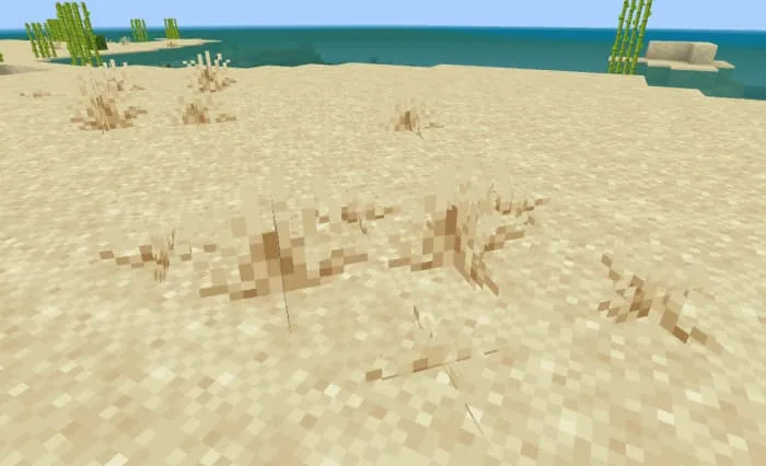 Сухая трава в пустыне