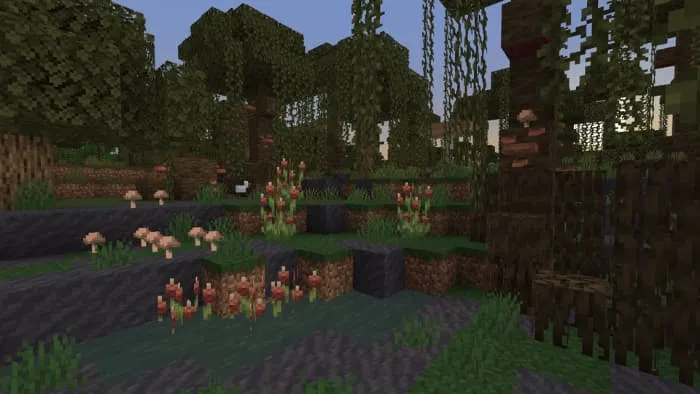 Улучшенное мангровое болото