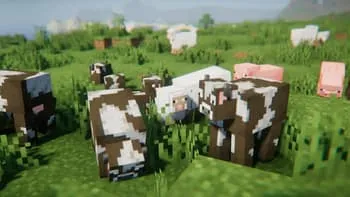 Корова ест траву