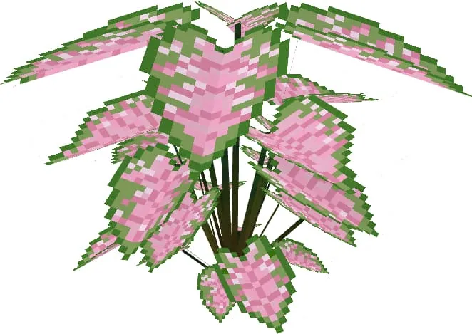 Розовый куст вишневой рощи