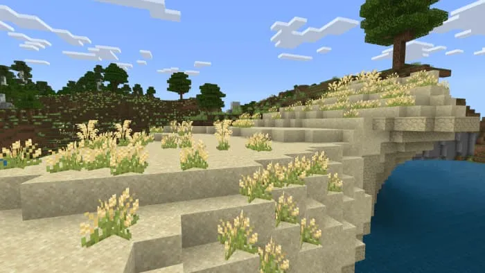 Растения на пляже