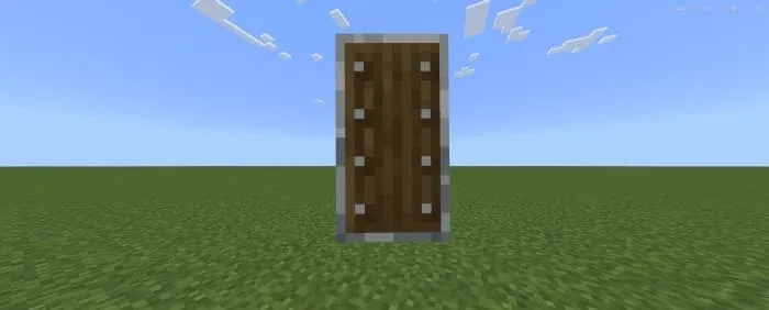 Новый вид щита