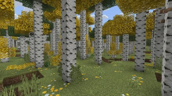 Осиновый лес с желтыми цветами