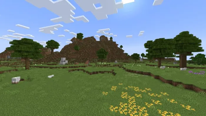 Равнины с цветами