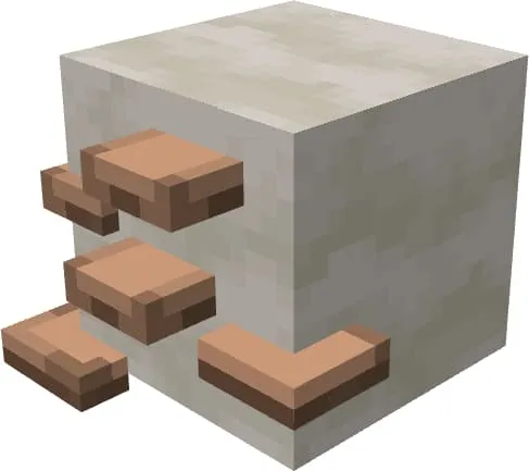 Грибы на грибном блоке