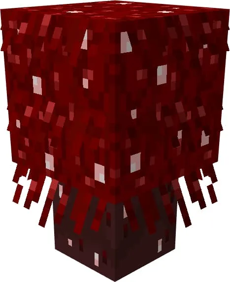 Красный  кустарник багрового леса