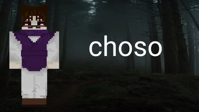 Моделька Чосо