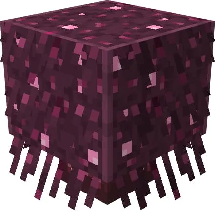 Розовый кустарник багрового леса