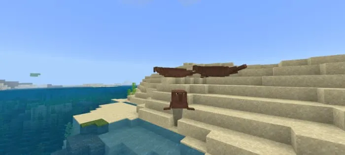 Морской слон на пляже