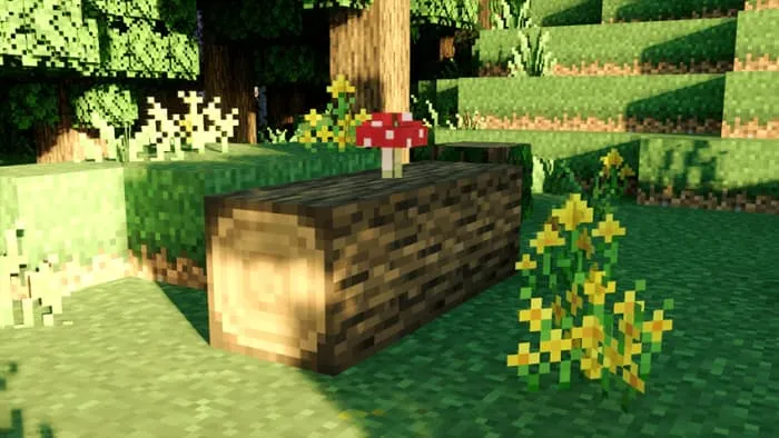 Мухомор на пне