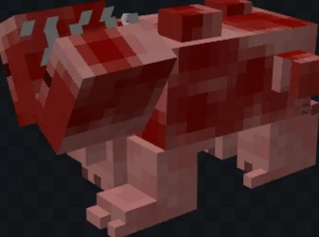 Свинья в ужасном виде