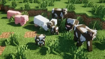 Свиньи, коровы и овца