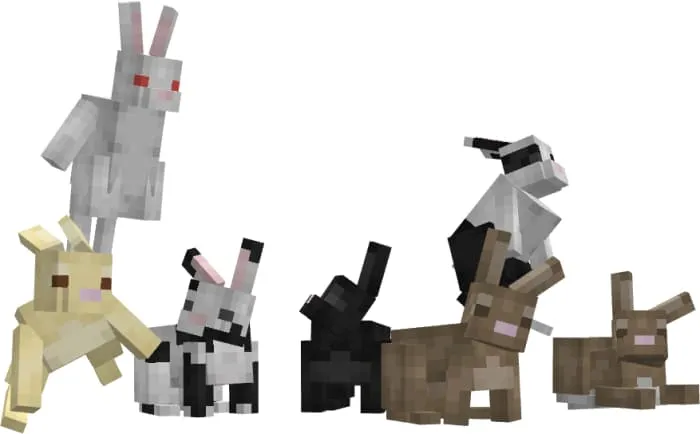 Все разновидности кроликов в новом виде