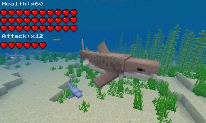 Тигровая акула в океане