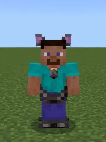 Аксессуары на маленьком размере игрока