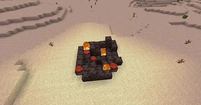 Метеоритная лунка с симбионтом