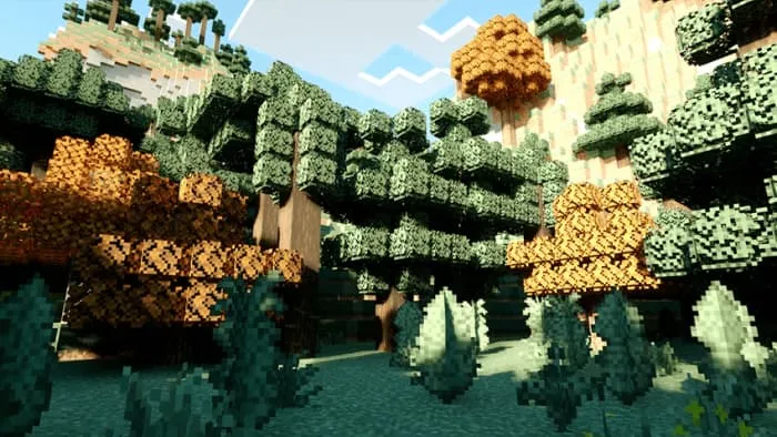 Новый вид елового леса