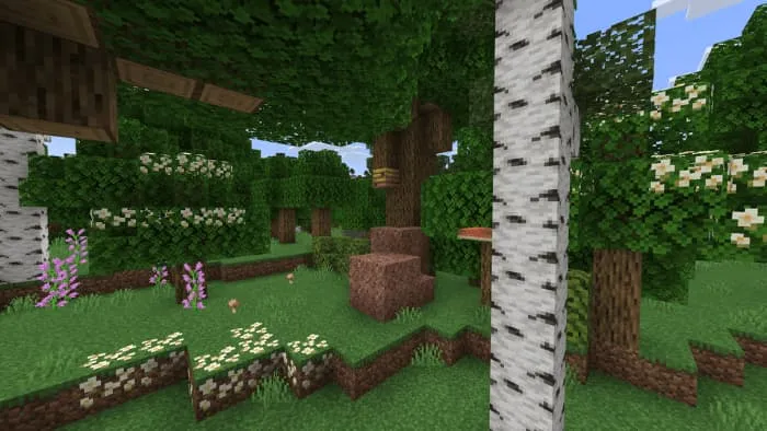 Цветы в лесу