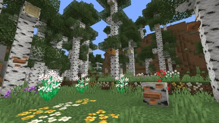 Берёзовый лес с грибами