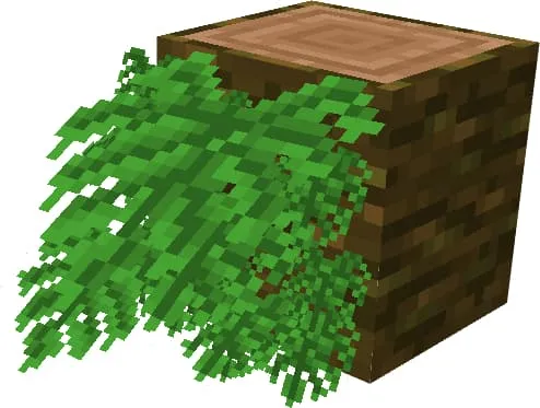 Лиственность на тропическом бревне