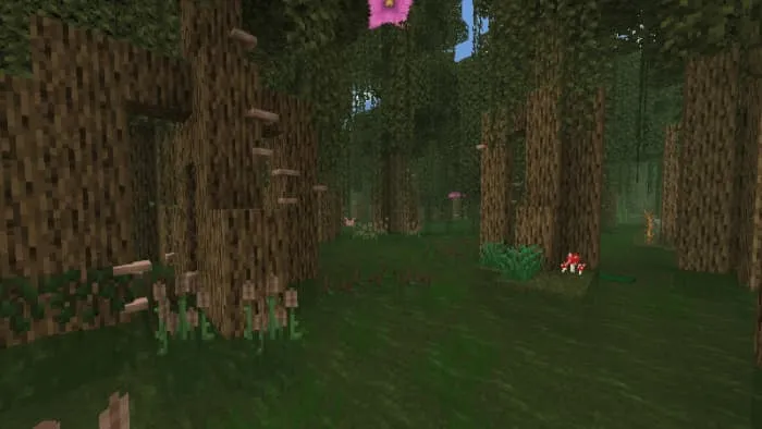 Биом заболоченных топей