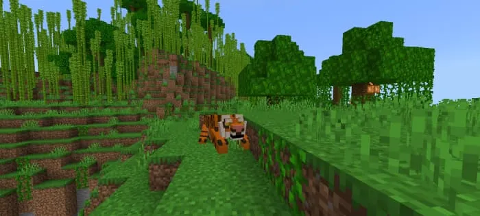 Бенгальский тигр в джунглях