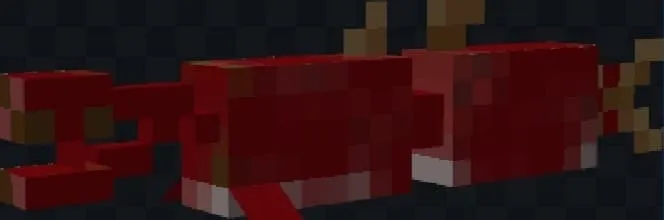 Лосось в ужасном виде