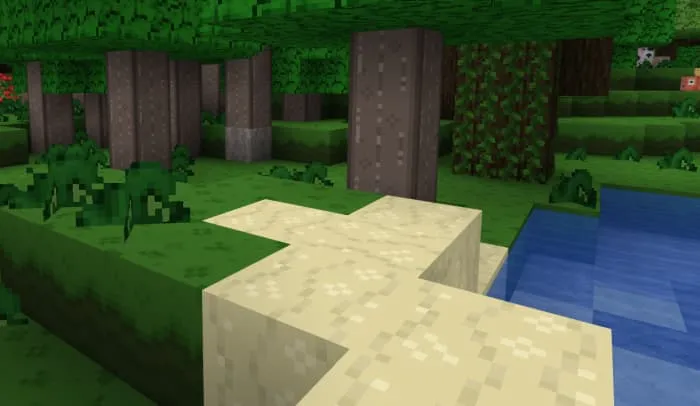 Новый вид леса