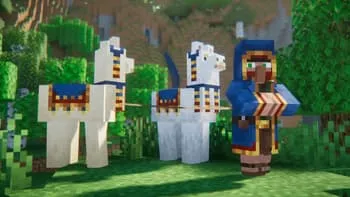 Странствующий торговец с двумя ламами