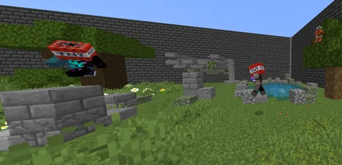 Тнт на голове игрока