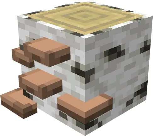 Грибы на березовом бревне