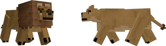 Внешний вид льва и львицы