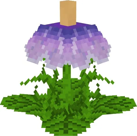 Фиолетовый цветок