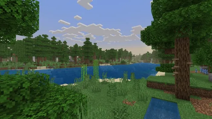 Биом лиственного леса