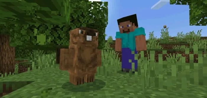 Бобёр на равнине