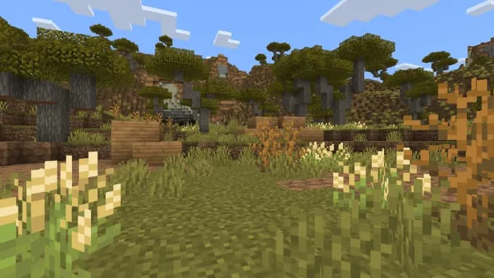 Саванна с растительностью