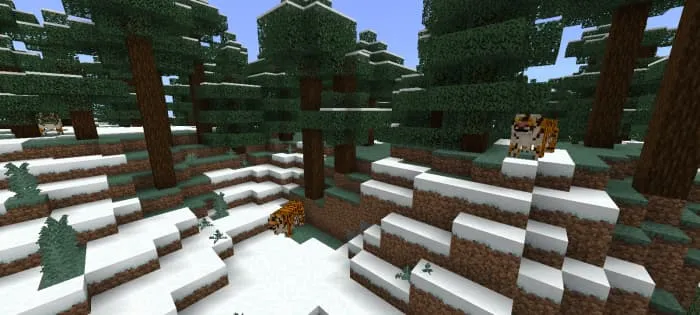 Сибирский тигр в заснеженной тайге