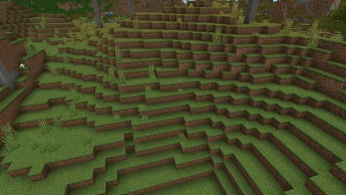 Обычный подъем на холм в лесу