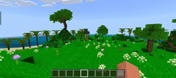 Полное отсутствие сенсорных кнопок