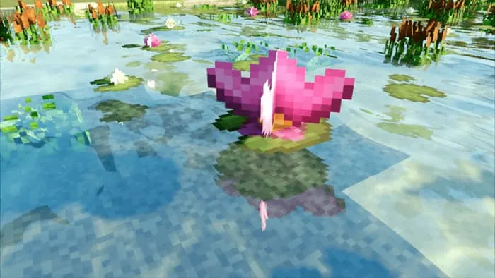 Детализированная кувшинка на воде