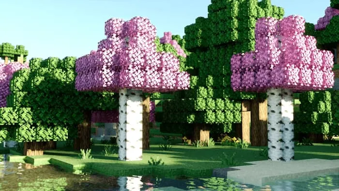 Новый вид березы