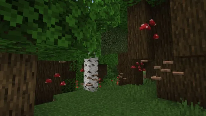 Обновленный биом темного леса