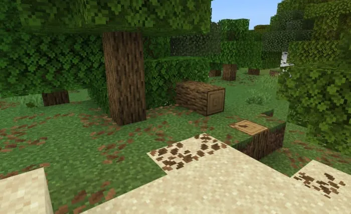 Сухие листья под деревьями