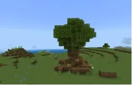 Дерево в поле