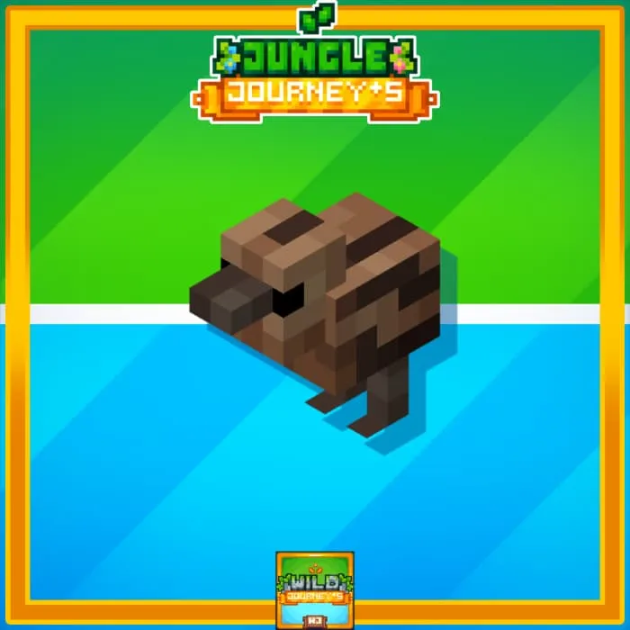 Казуар малыш