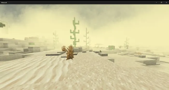 Песчаная буря в пустыне среди кактусов