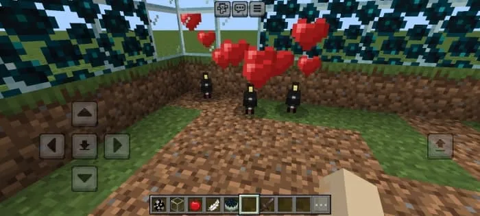 Скворцы счастливы