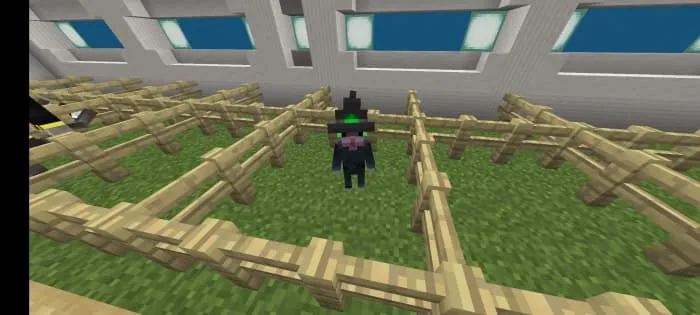 Черная кошка-ведьма