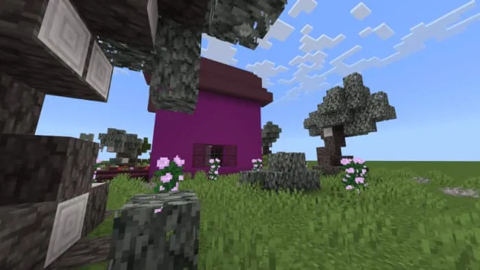 Боковой вид на дом Куроми