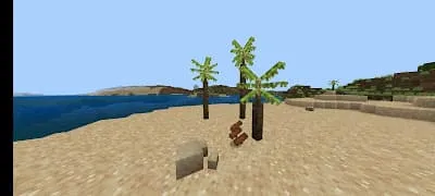 Пальмы на побережье, дающие новый тип дерева